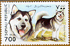 Somali Republic  malamute stamp