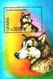 Ghana malamute stamp colorful