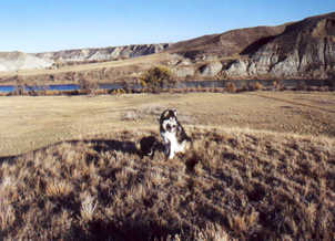 Louis sitting on a big barren hill