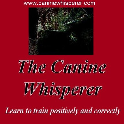 training dogs, dog training products, positive reinforcement training methods