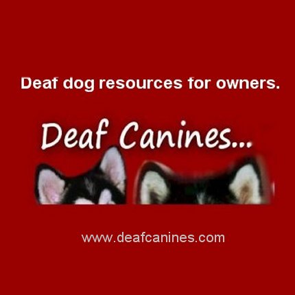 training deaf dogs,deaf dog products, positive reinforcement training methods