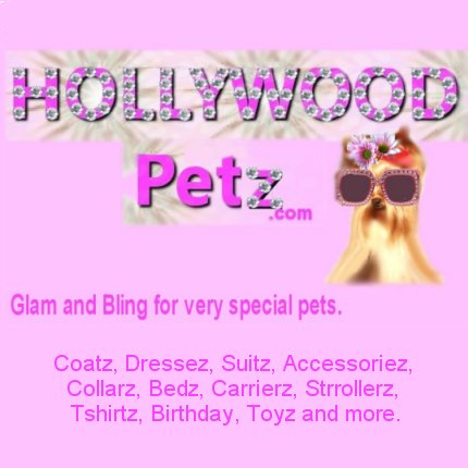 fun fashion and accessories for a pampered pet