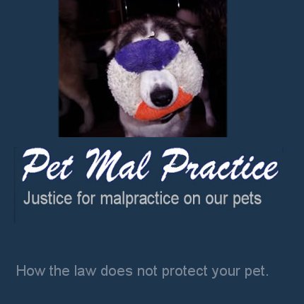 legal information and personal accounts of veterinarians breeching their duty to do no harm