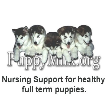 all about newborn nursing puppies and mom's milk
