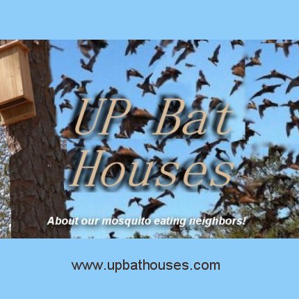 bats and what they do, how to keep them, bat homes and get rid of them and enjoy their uniqueness